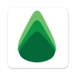 ayurythm: ayurvedic wellness android application logo